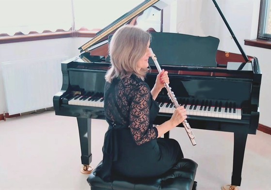 Piano, flute, violin. Wedding soloist, wedding pianist, wedding flautist
